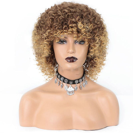 Cross-Border Wigs European And American Fashion African Small Curly Ladies Wigs Headgear Wig African Explosive Head